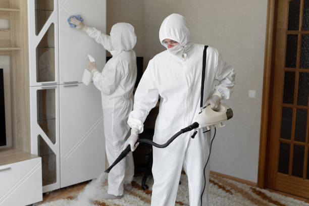 Trusted Sewage Cleanup service in Springfield, IL - Four Month Blood Cleanse